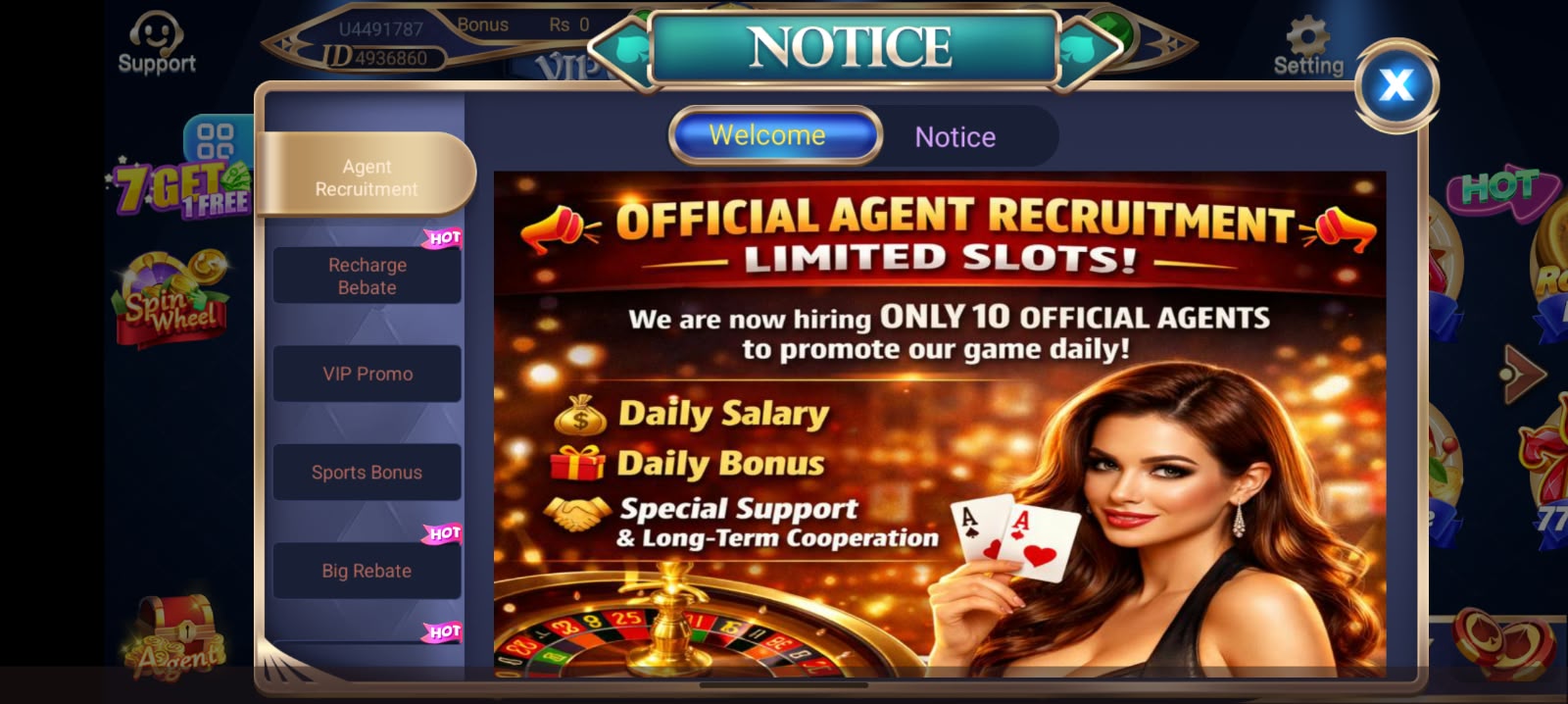 Ludo Good information screenshot and interface guide